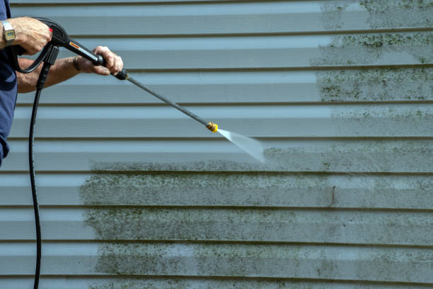 Best Solar Panel Cleaning  in Edgewater, MD